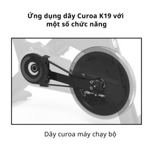 Ứng dụng Dây Curoa K19