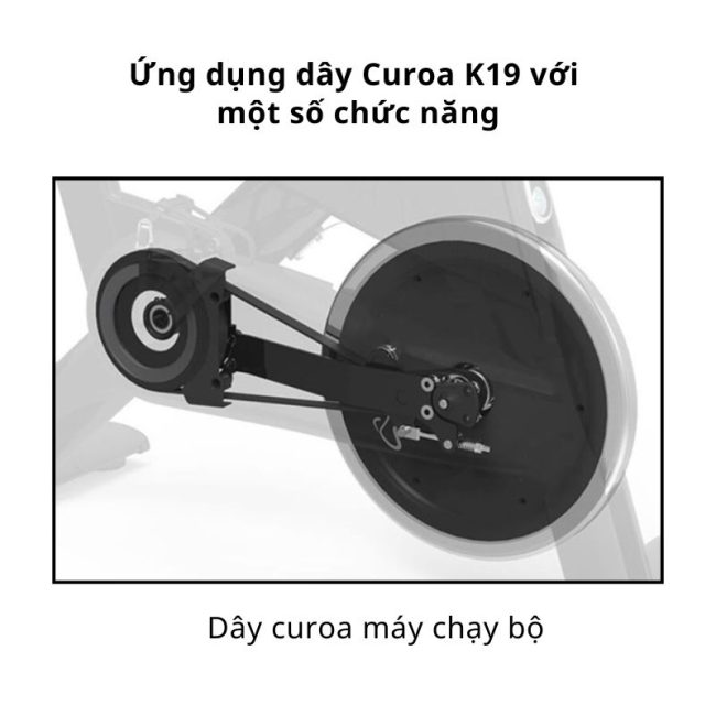 Ứng dụng Dây Curoa K19