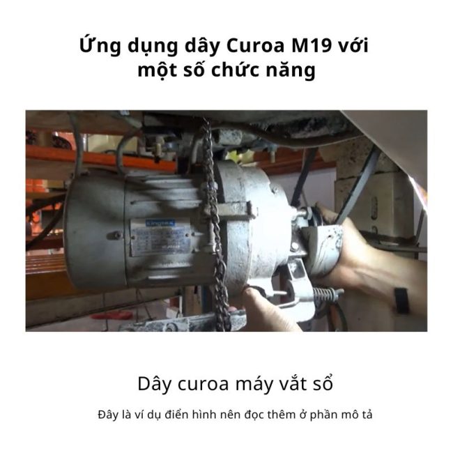 Ứng dụng dây curoa M19