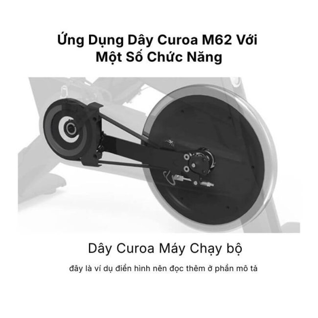 Dây curoa M62 xe chạy bộ
