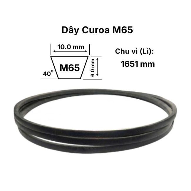 Thông số dây curoa M65 inch - 1651mm