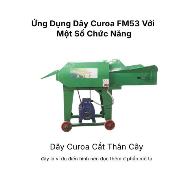 Ứng dụng dây curoa FM53